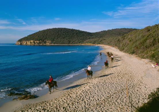 beach Cala Violina