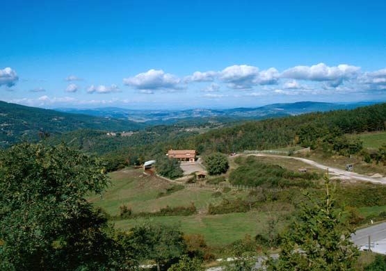 view from the hotel to the stables