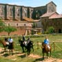 monastry of San Galgano