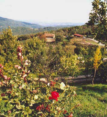 view stables