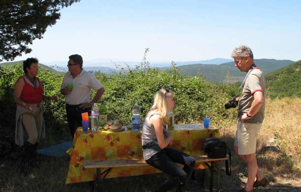 at the picnic